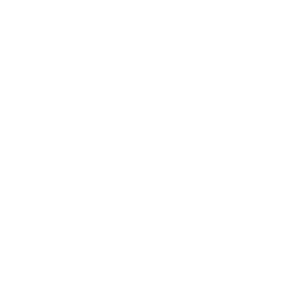 shield icon